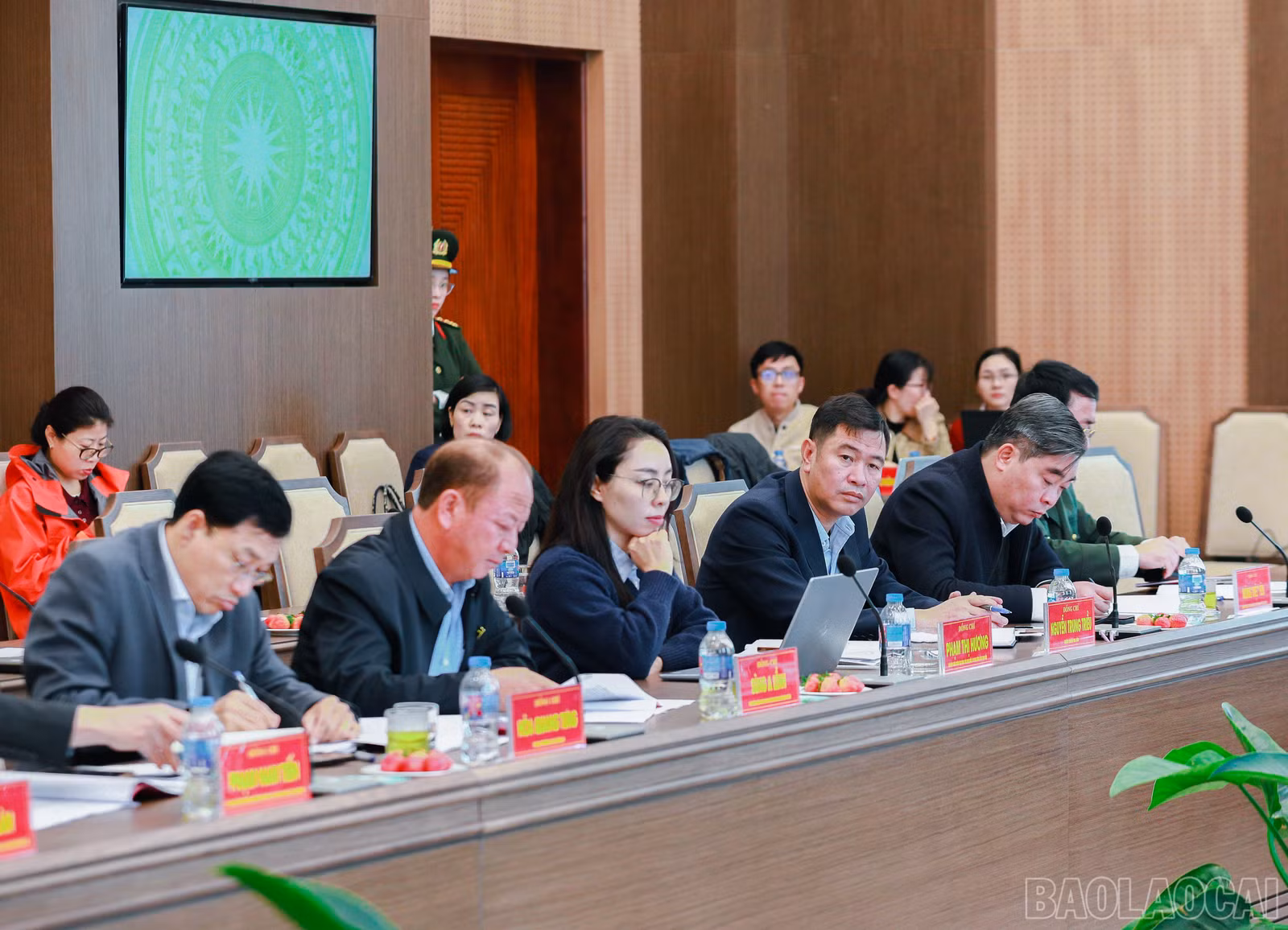 baolaocai-br_7j5a2397.jpg