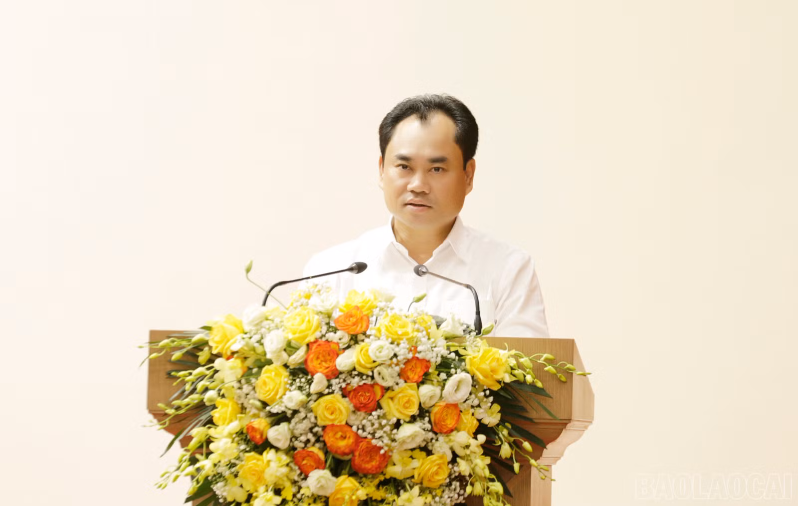 baolaocai-br_mg-9768-3191.jpg