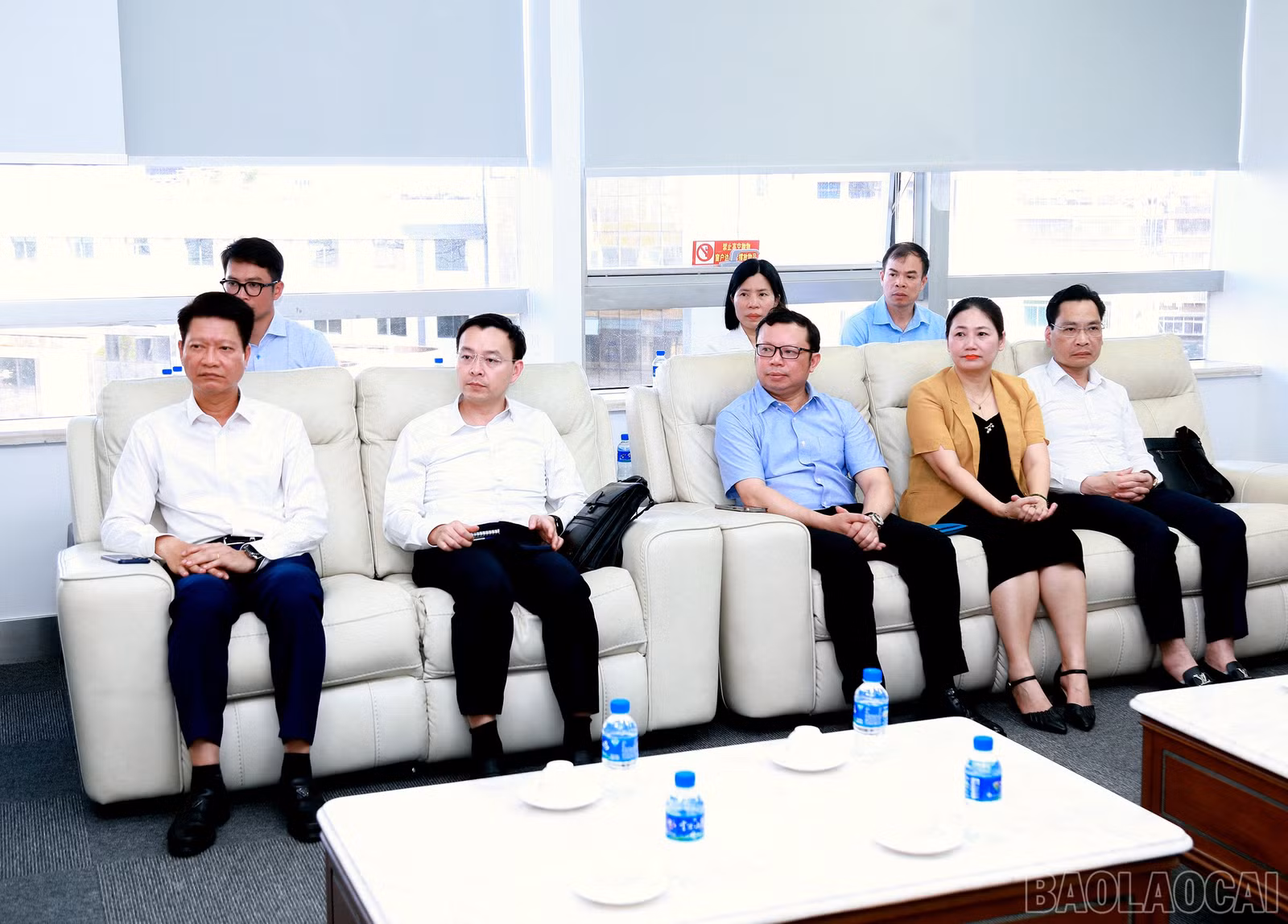 baolaocai-br_7j5a0390.jpg