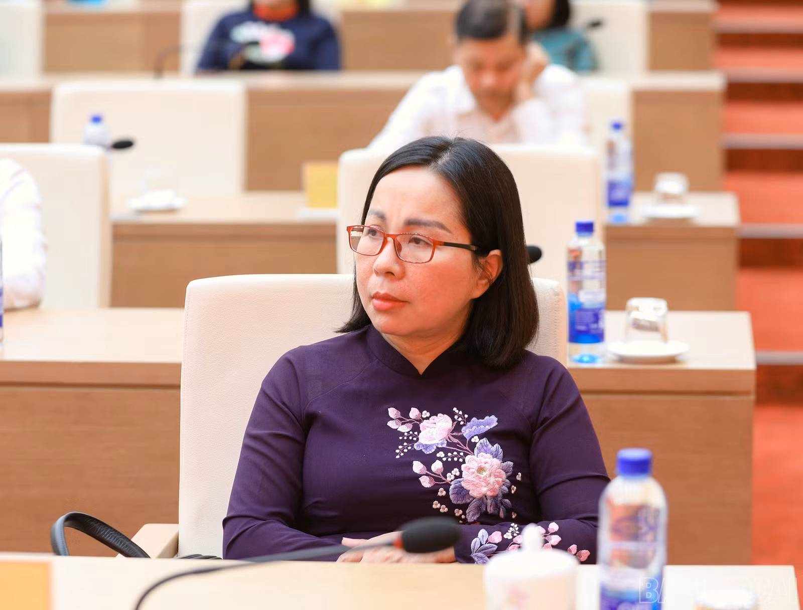 baolaocai-br_7j5a0919.jpg