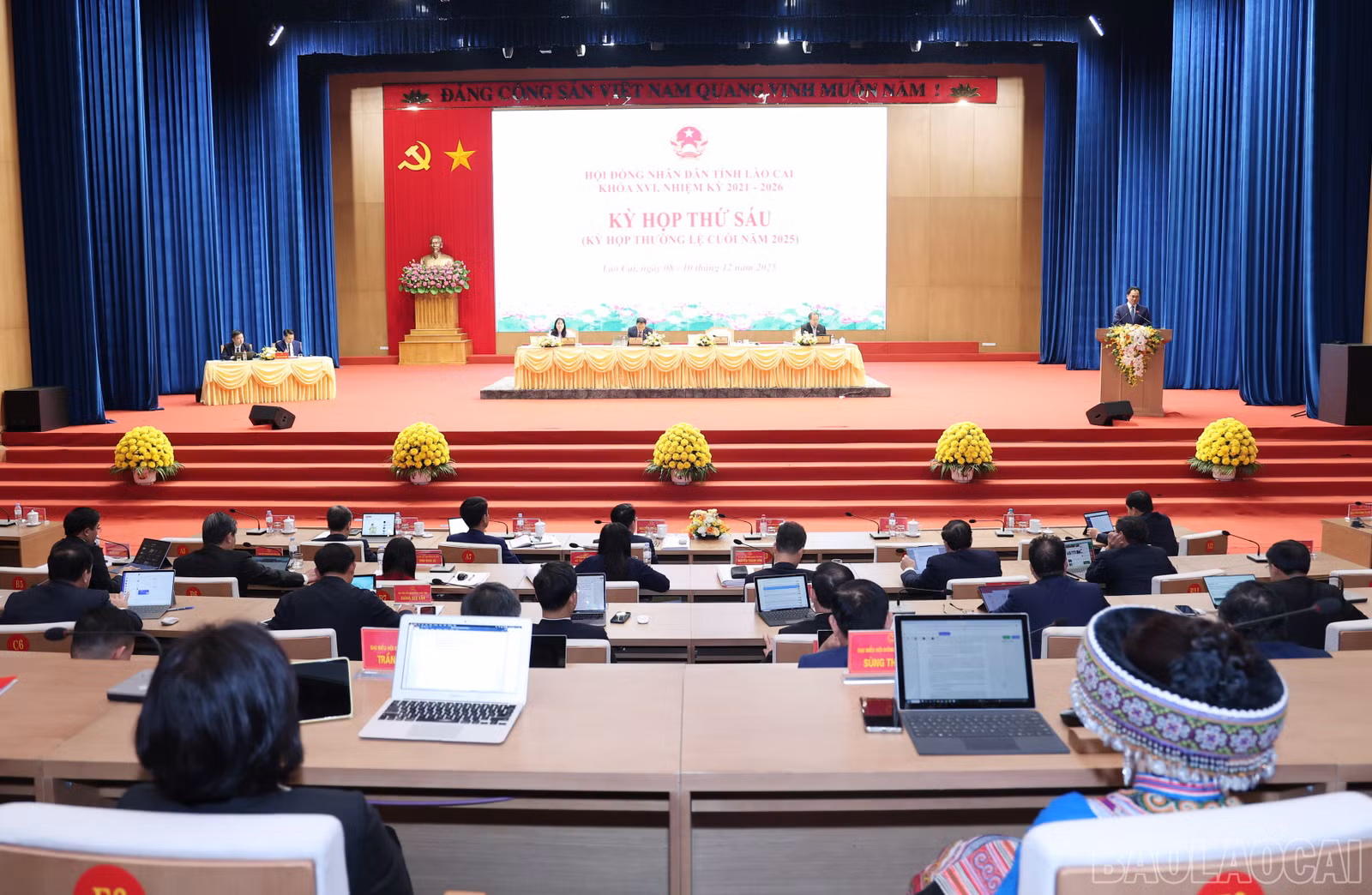 baolaocai-br_img-3242.jpg
