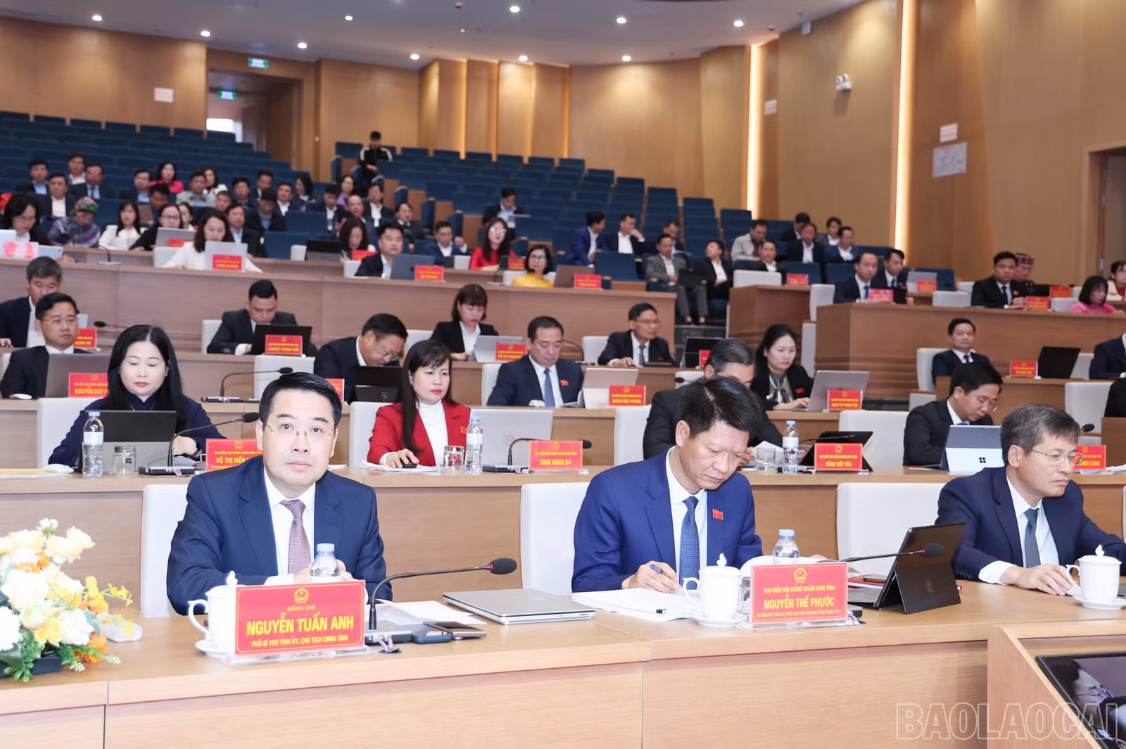 baolaocai-br_img-2904.jpg