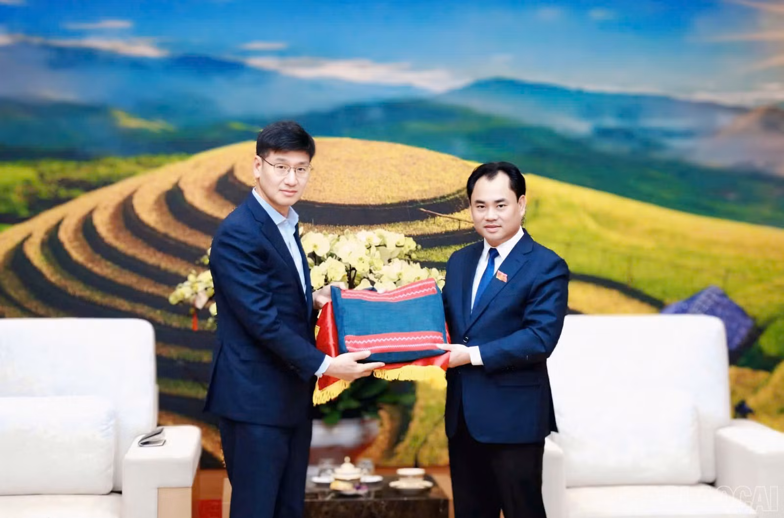 baolaocai-br_z7518402655752-09b5be10ee0493d3d54e047fcbd77275.jpg