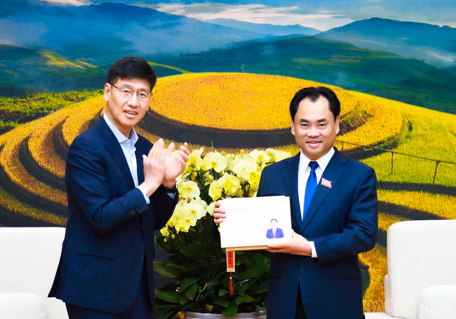 baolaocai-br_7j5a5343.jpg
