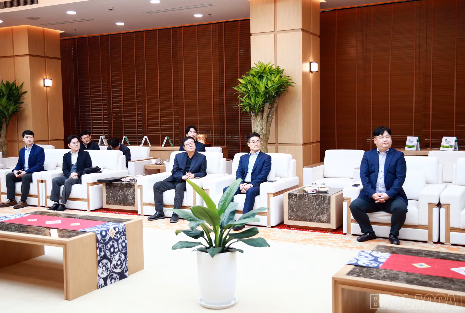 baolaocai-br_7j5a5237.jpg