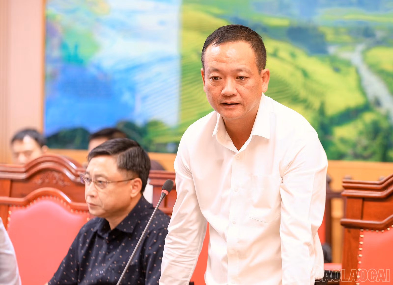 baolaocai-br_7j5a0105.jpg