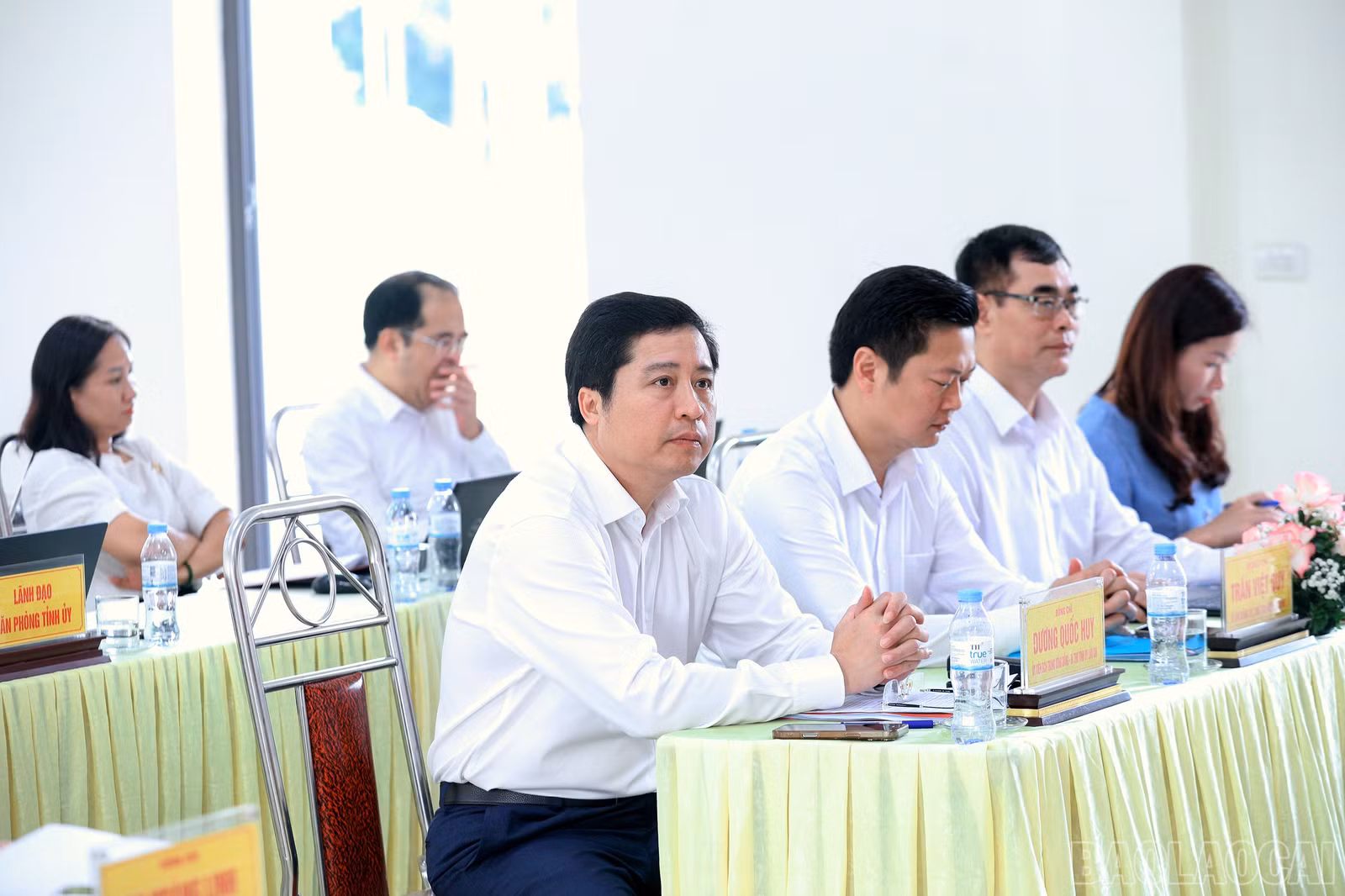 baolaocai-br_7j5a8033.jpg
