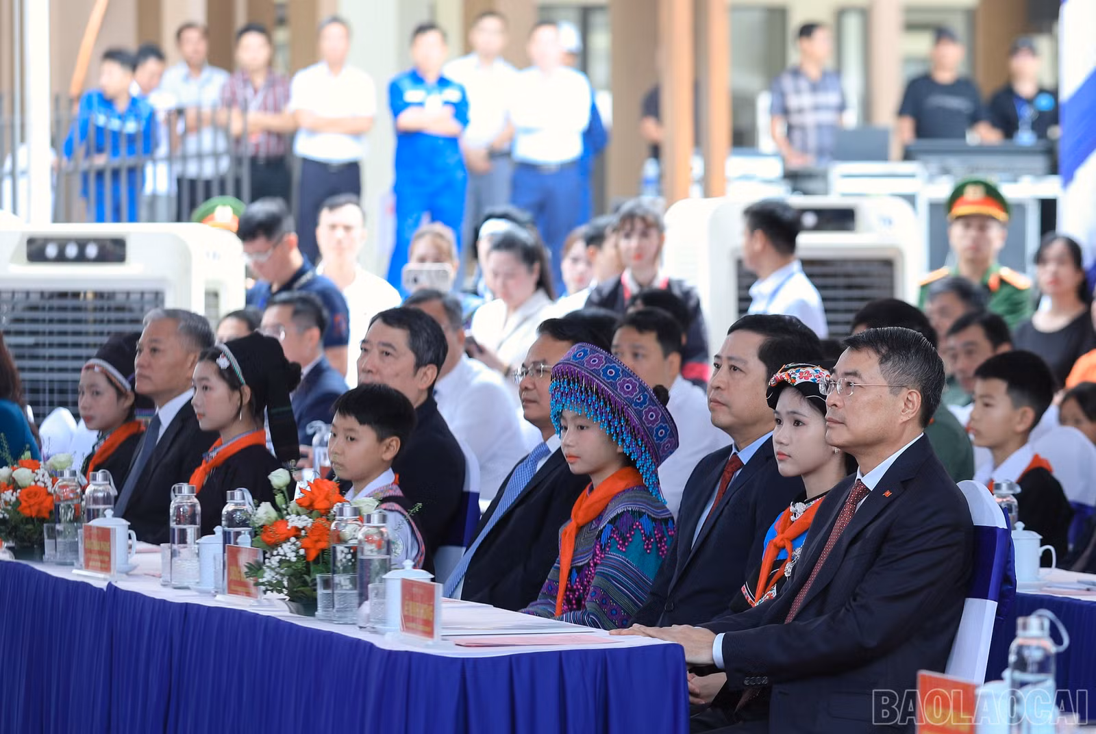 baolaocai-br_7j5a5772.jpg