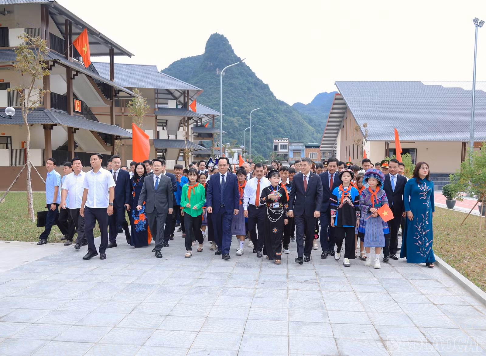 baolaocai-br_7j5a5621.jpg