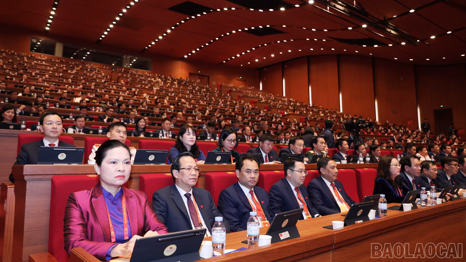 baolaocai-br-img-7461.jpg