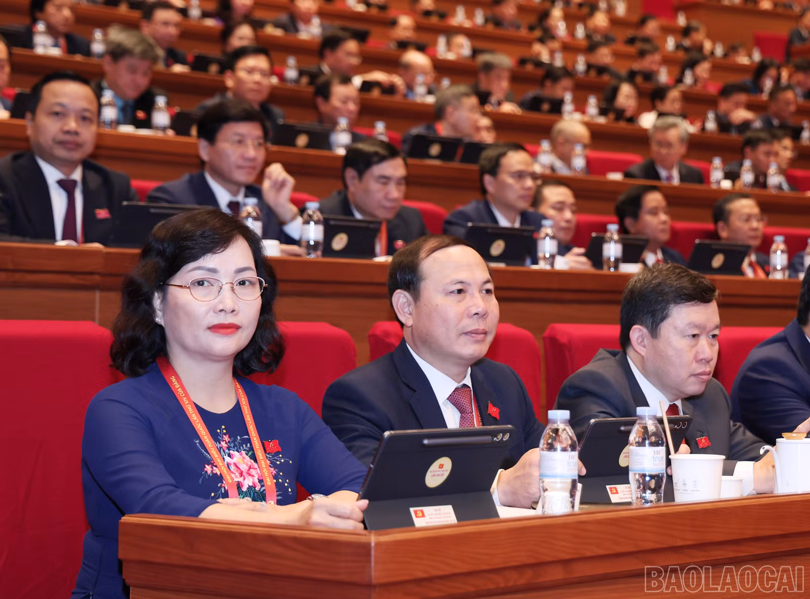 baolaocai-br_img-7428.jpg