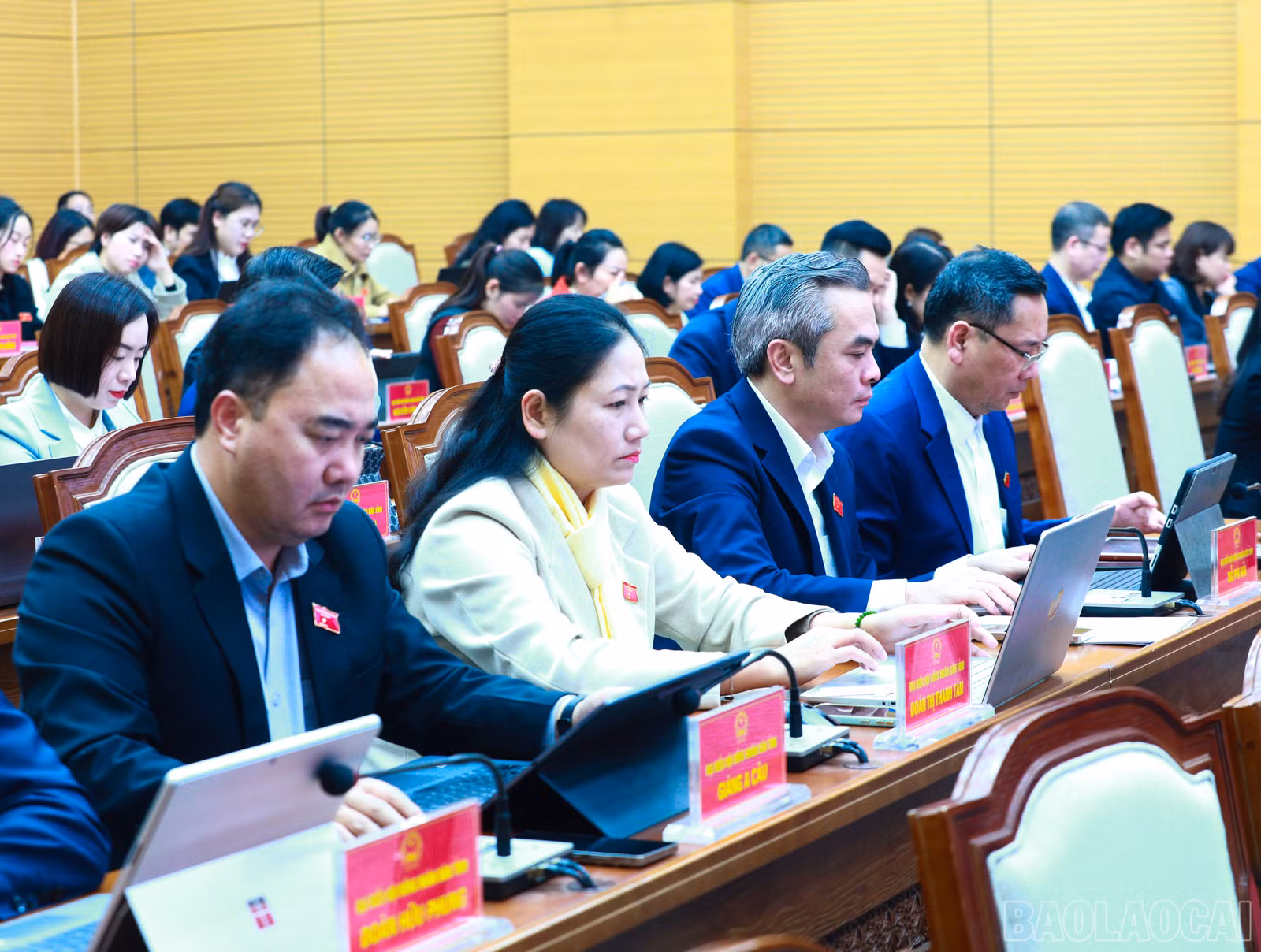 baolaocai-br_7j5a0553.jpg