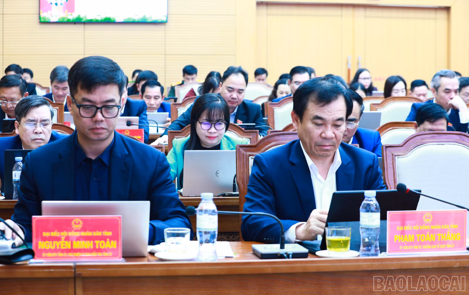 baolaocai-br_7j5a0538.jpg