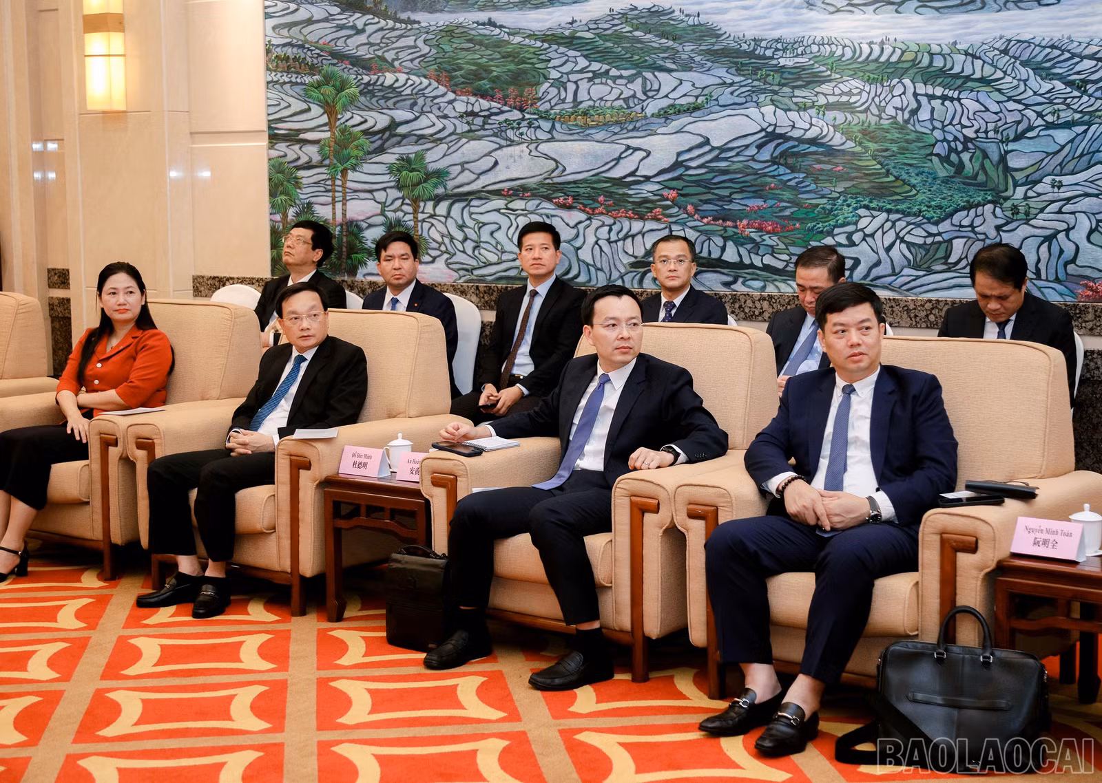 baolaocai-br_7j5a2688.jpg