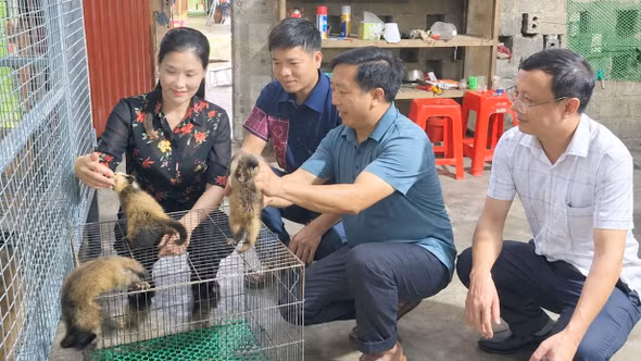 Đảng viên đi trước, Suối Bu đổi thay
