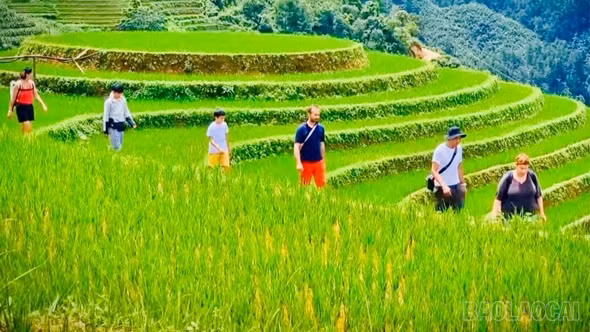 Lào Cai ban hành kế hoạch về phát triển du lịch thông minh
