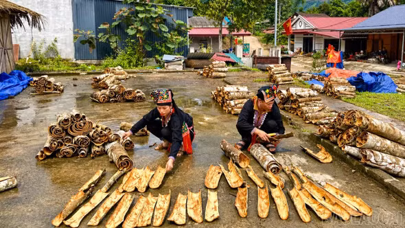 Đưa nghị quyết vào cuộc sống từ lợi thế địa phương