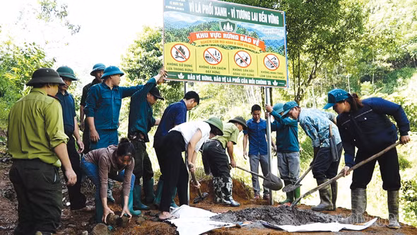Nghĩa Tâm chủ động phòng, chống cháy rừng từ sớm, từ xa