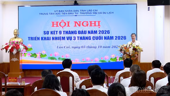 Phó Chủ tịch Thường trực UBND tỉnh Ngô Hạnh Phúc chỉ đạo thực hiện nhiệm vụ 3 tháng cuối năm của Trung tâm Xúc tiến đầu tư, Thương mại và Du lịch