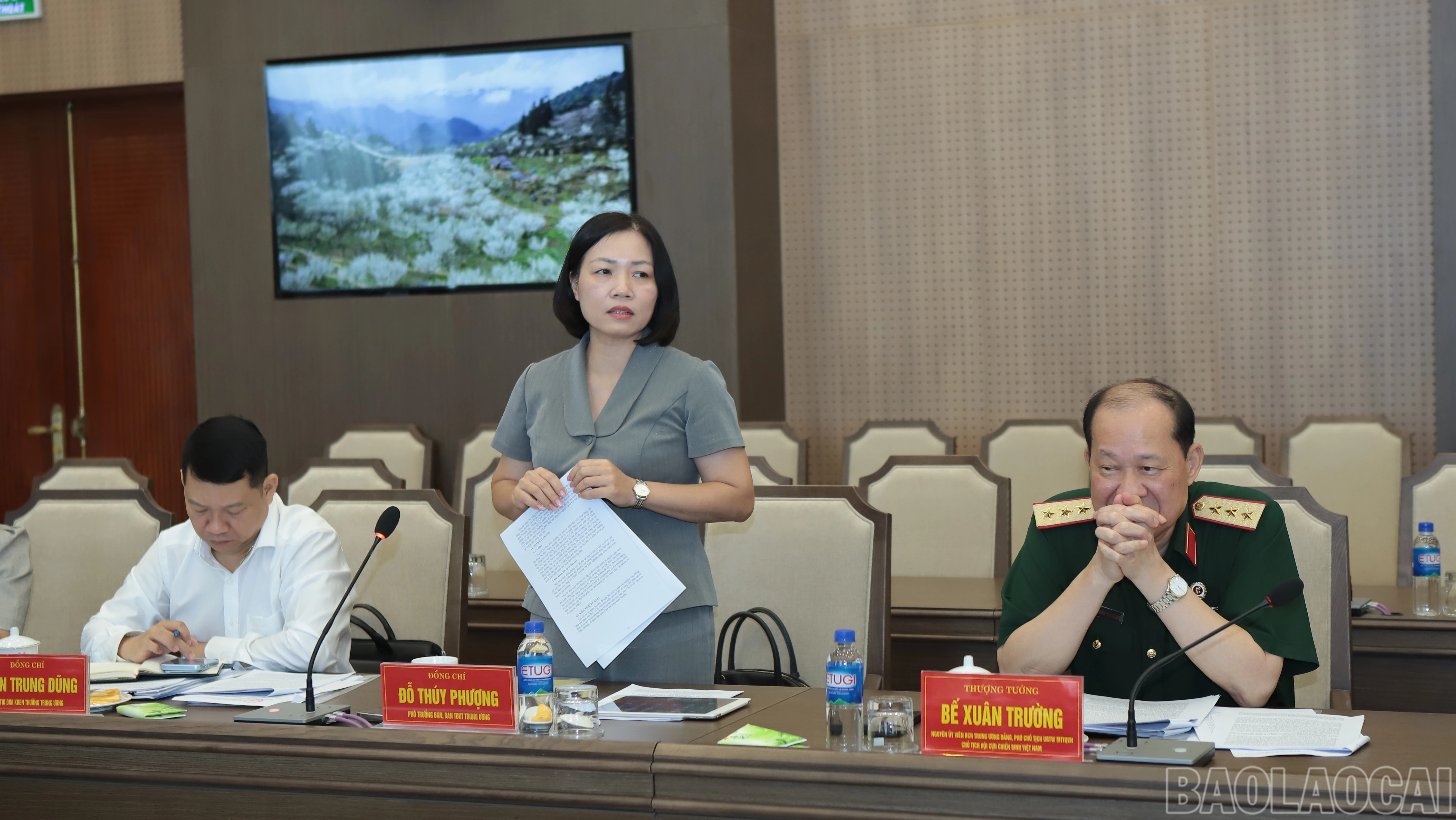 baolaocai-br_img-0032-5309.jpg