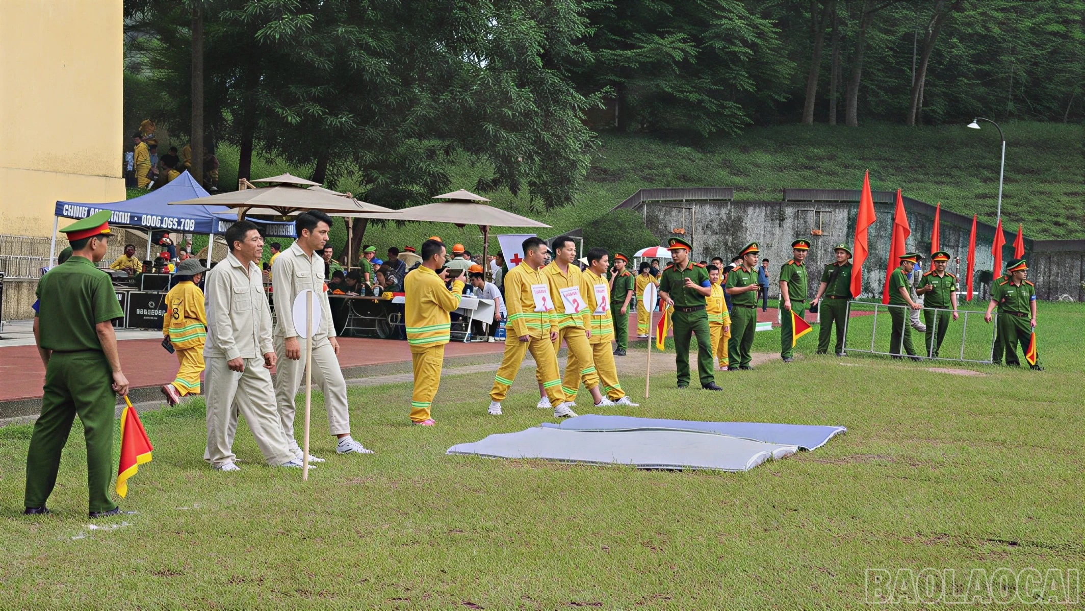 baolaocai-br_duc-4573-373.jpg