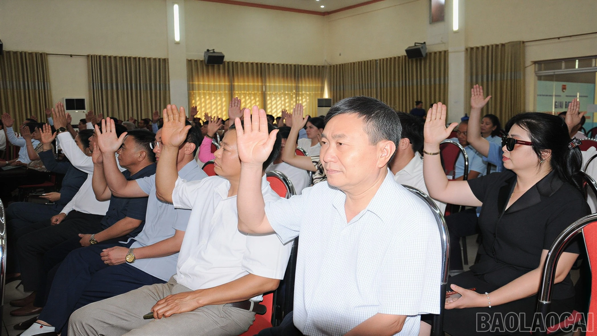 baolaocai-br_duc-4824-435.jpg