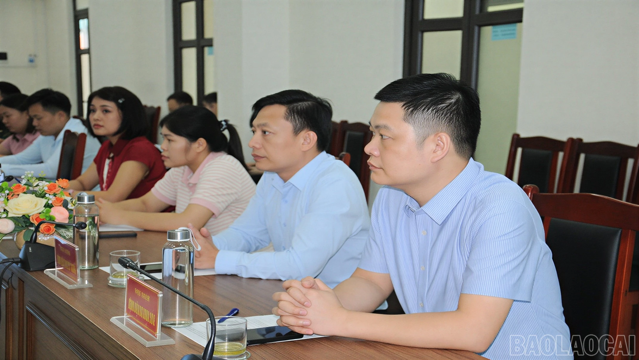 baolaocai-br_duc-4752-6406.jpg