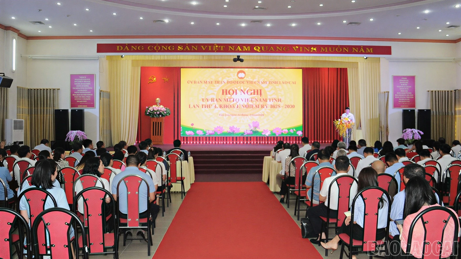 baolaocai-br_duc-4805-6829.jpg