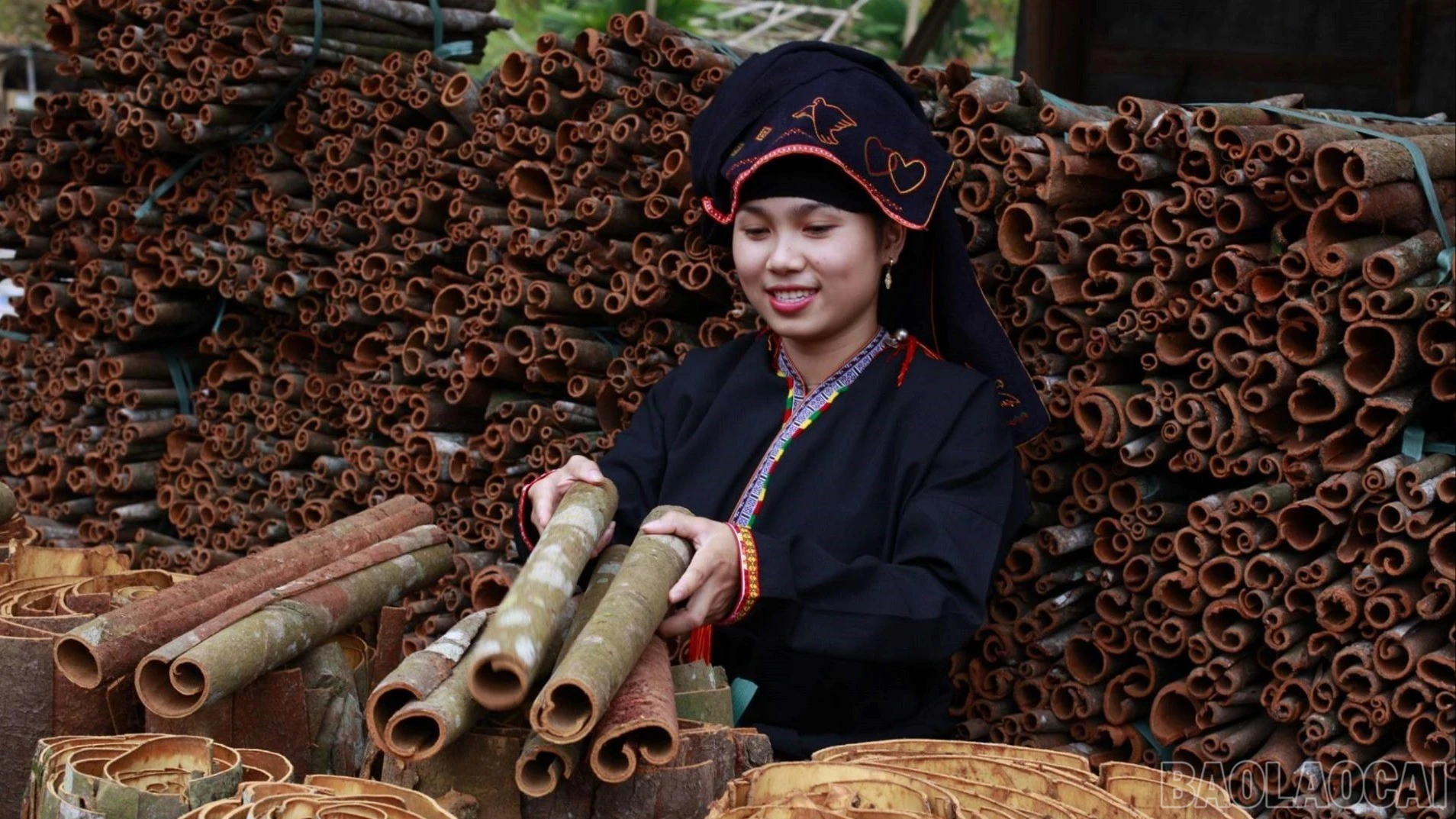baolaocai-br_que-ooo-4708.jpg
