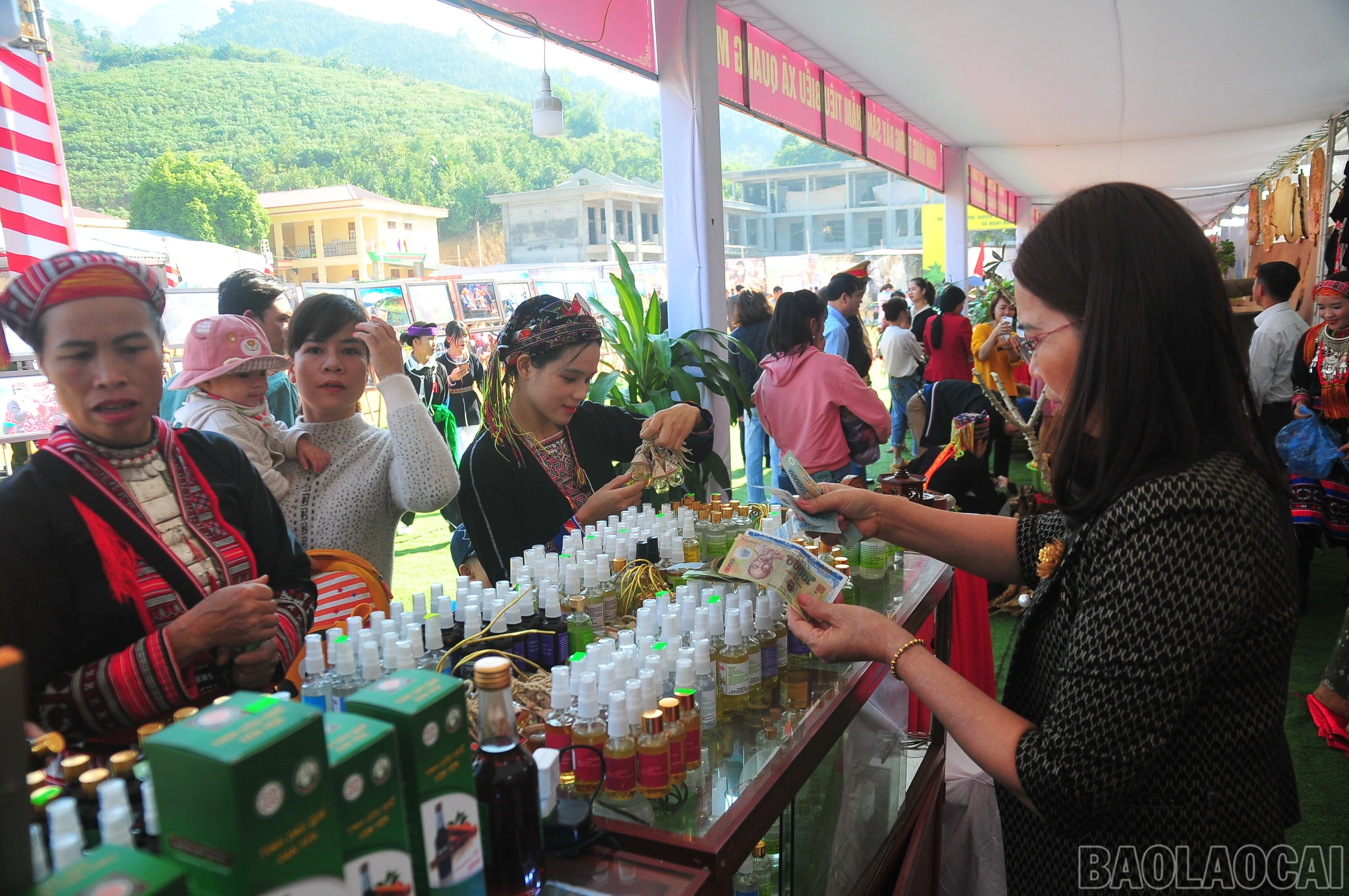 baolaocai-br_duc-5038.jpg