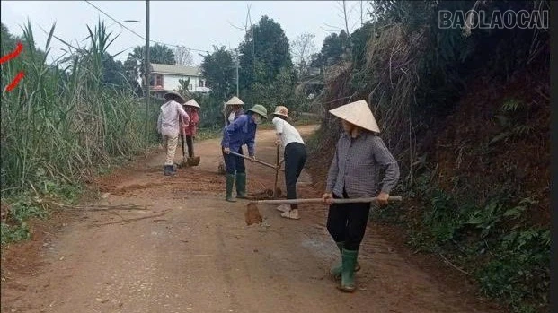 baolaocai-tr_z7325164288448-7682799ac825530e5c9ad088de4b16ea-6576.jpg