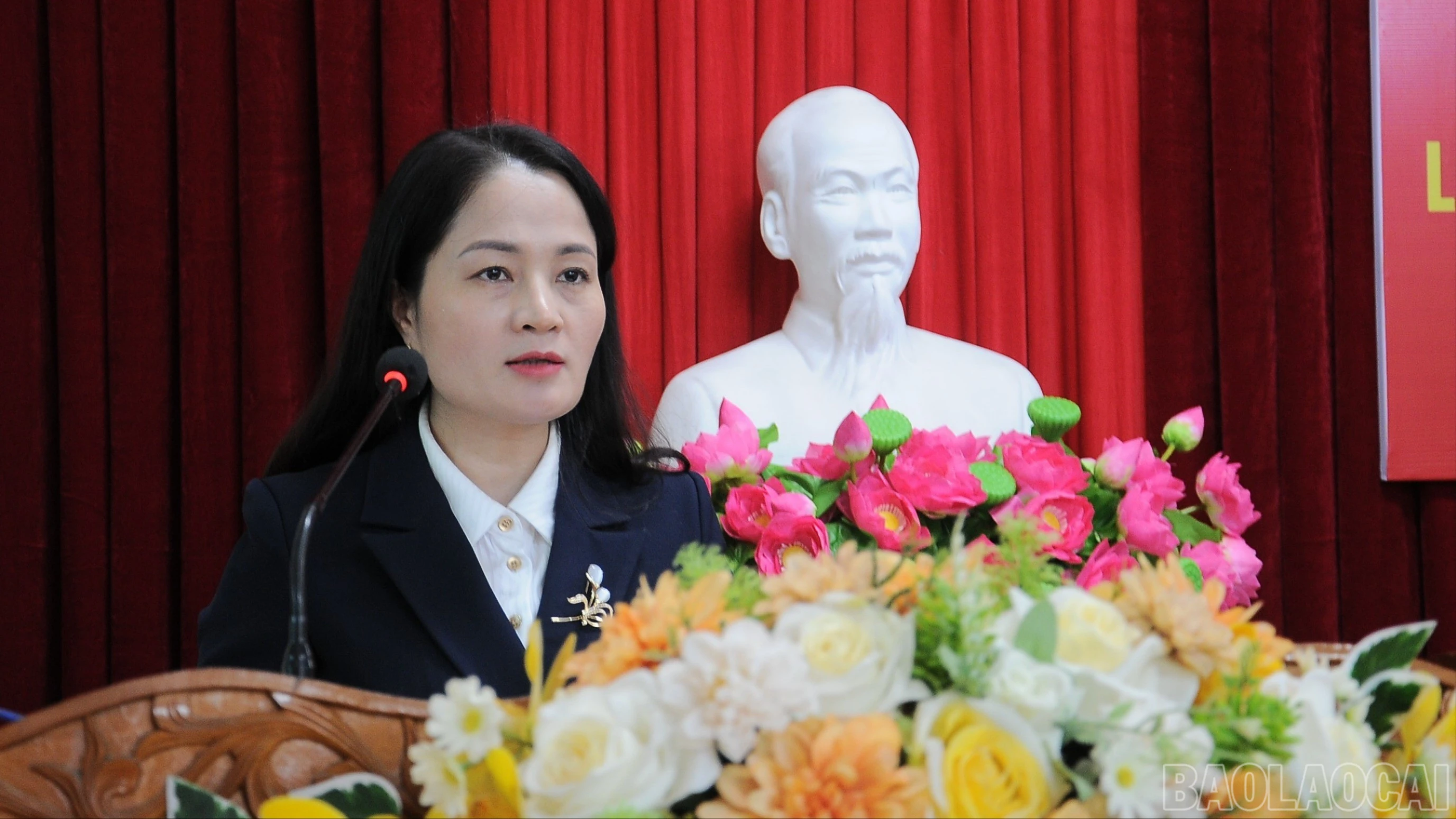 baolaocai-br_duc-3741-800.jpg