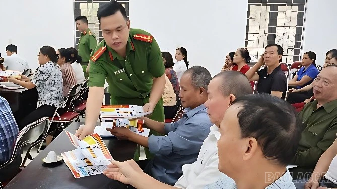 baolaocai-br_nc2-836.jpg