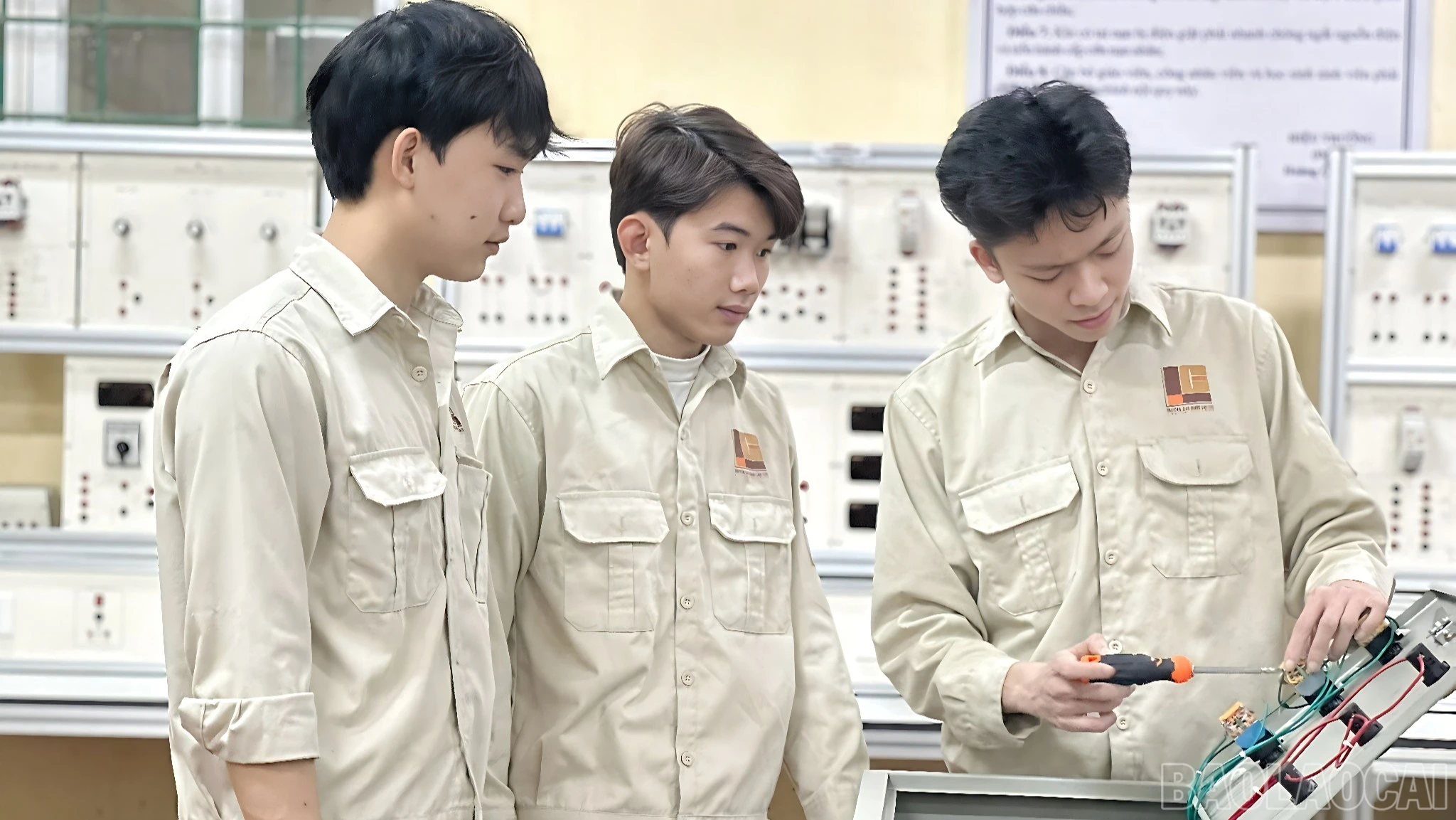 baolaocai-br_dien-1377.jpg