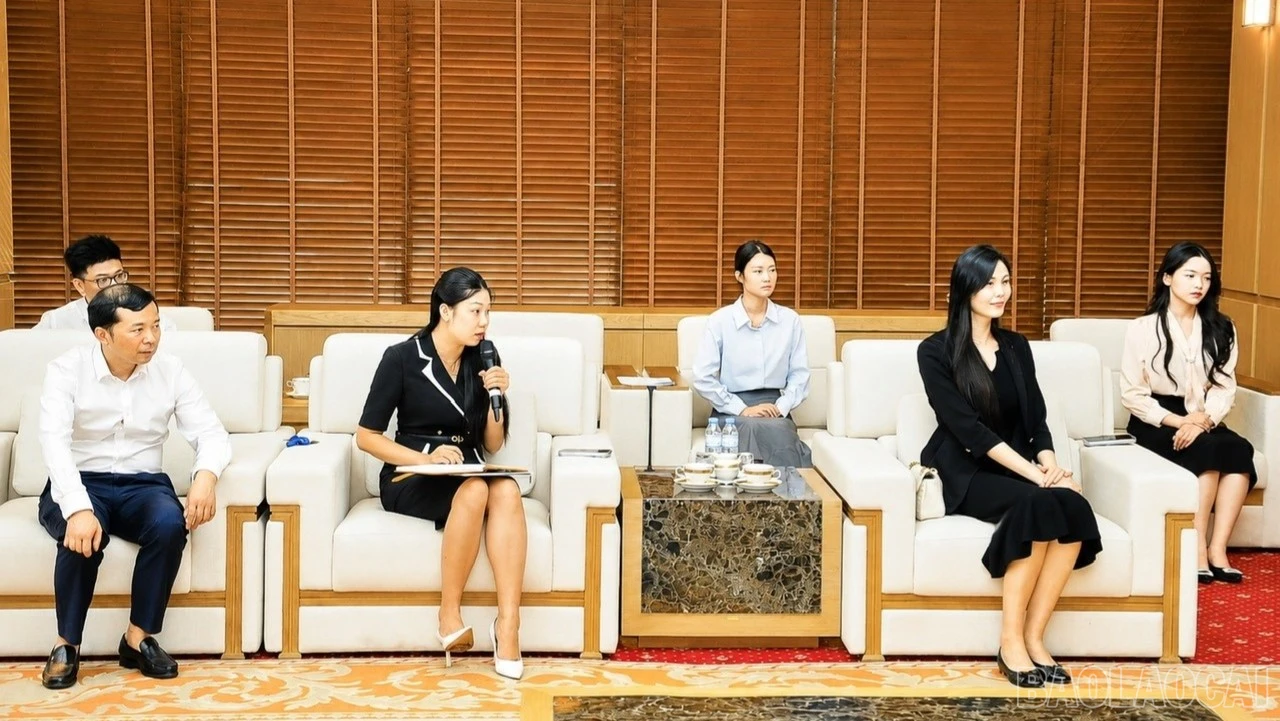 baolaocai-br_ttttt-2738.jpg