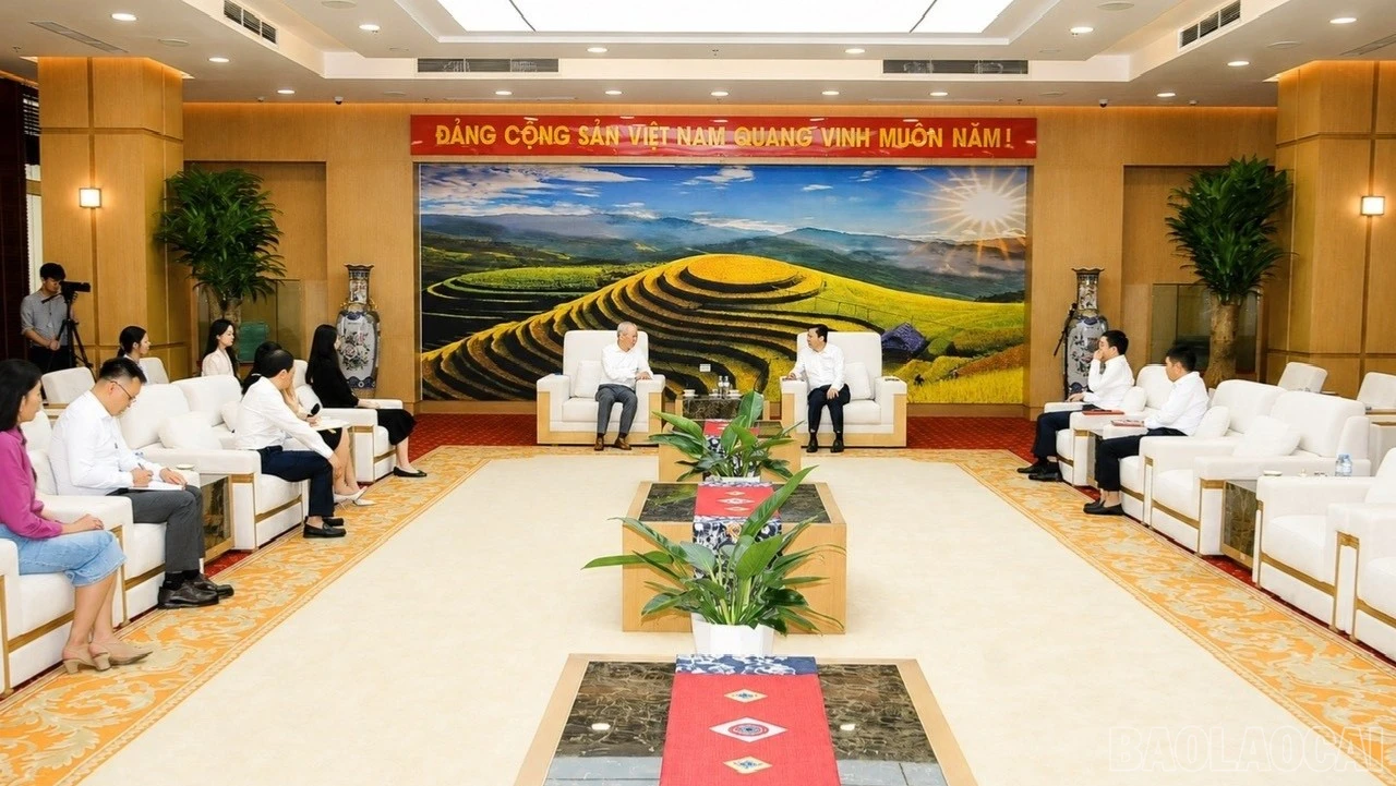 baolaocai-br_88888-8420.jpg