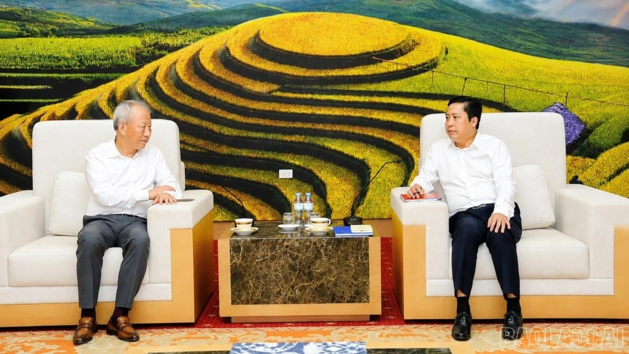 baolaocai-br_ccccc-9660.jpg