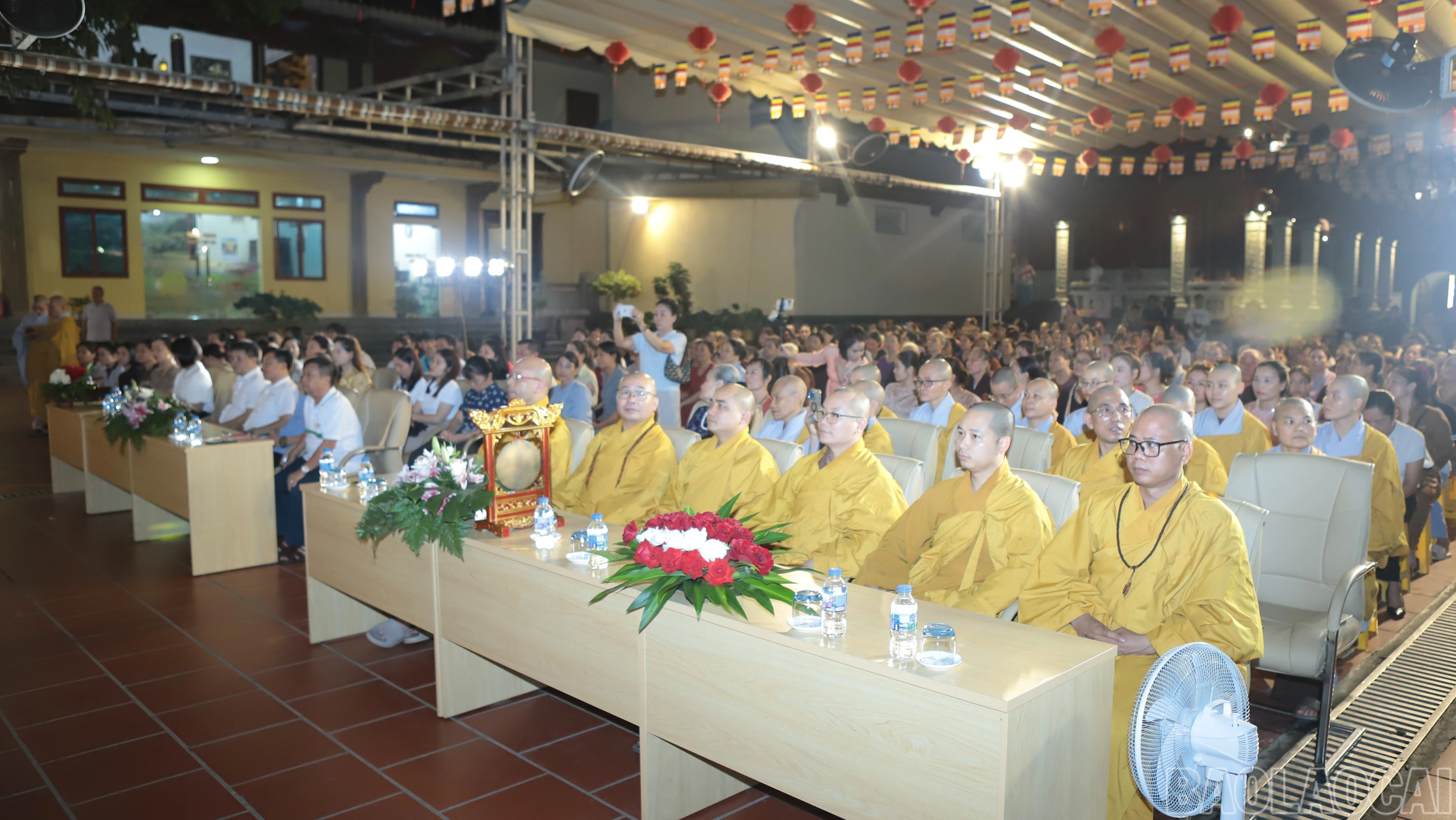 baolaocai-br_br-img-0008-120.jpg