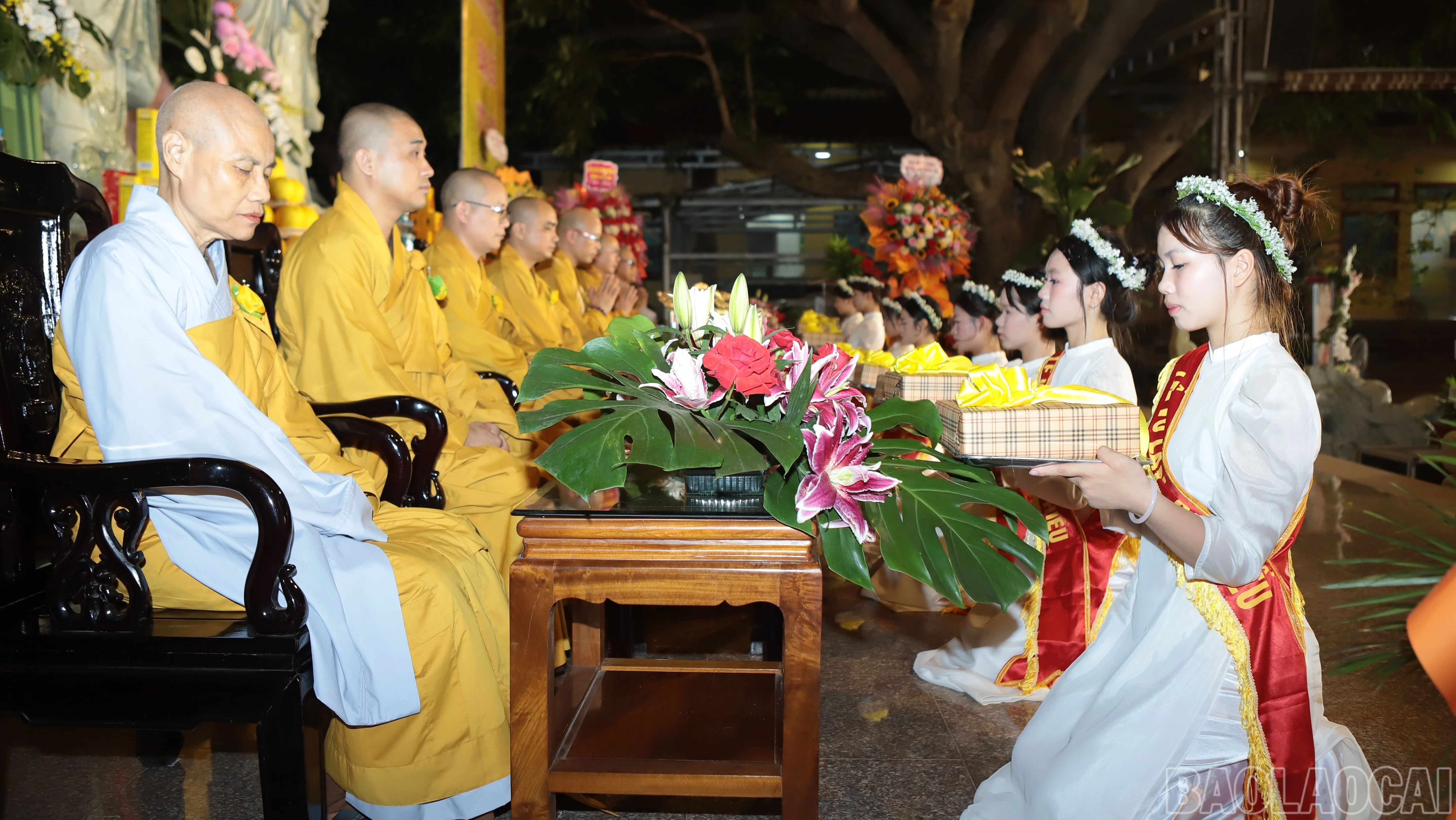 baolaocai-br_br-img-0034-9702.jpg
