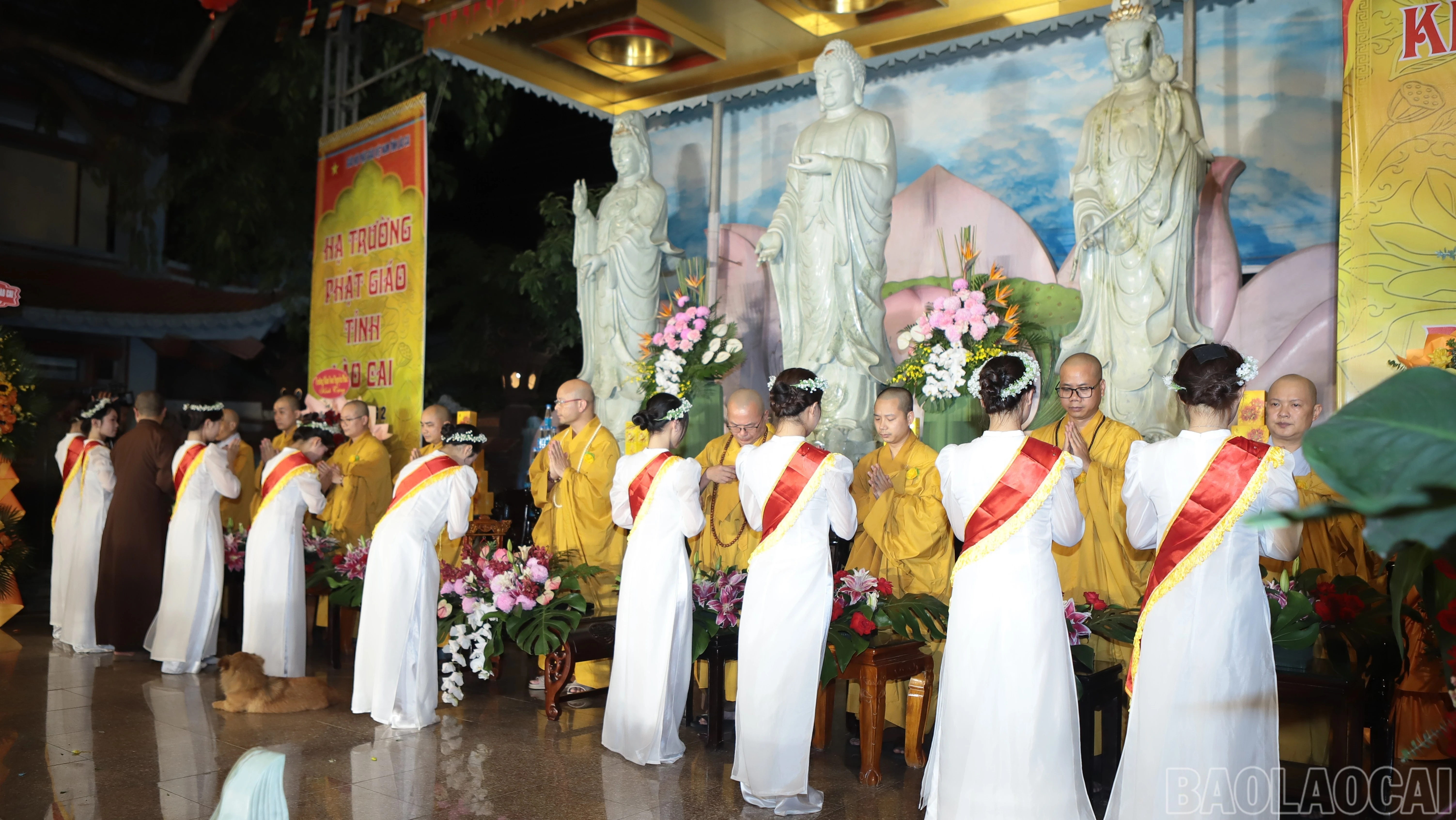 baolaocai-br_img-0025-7036.jpg