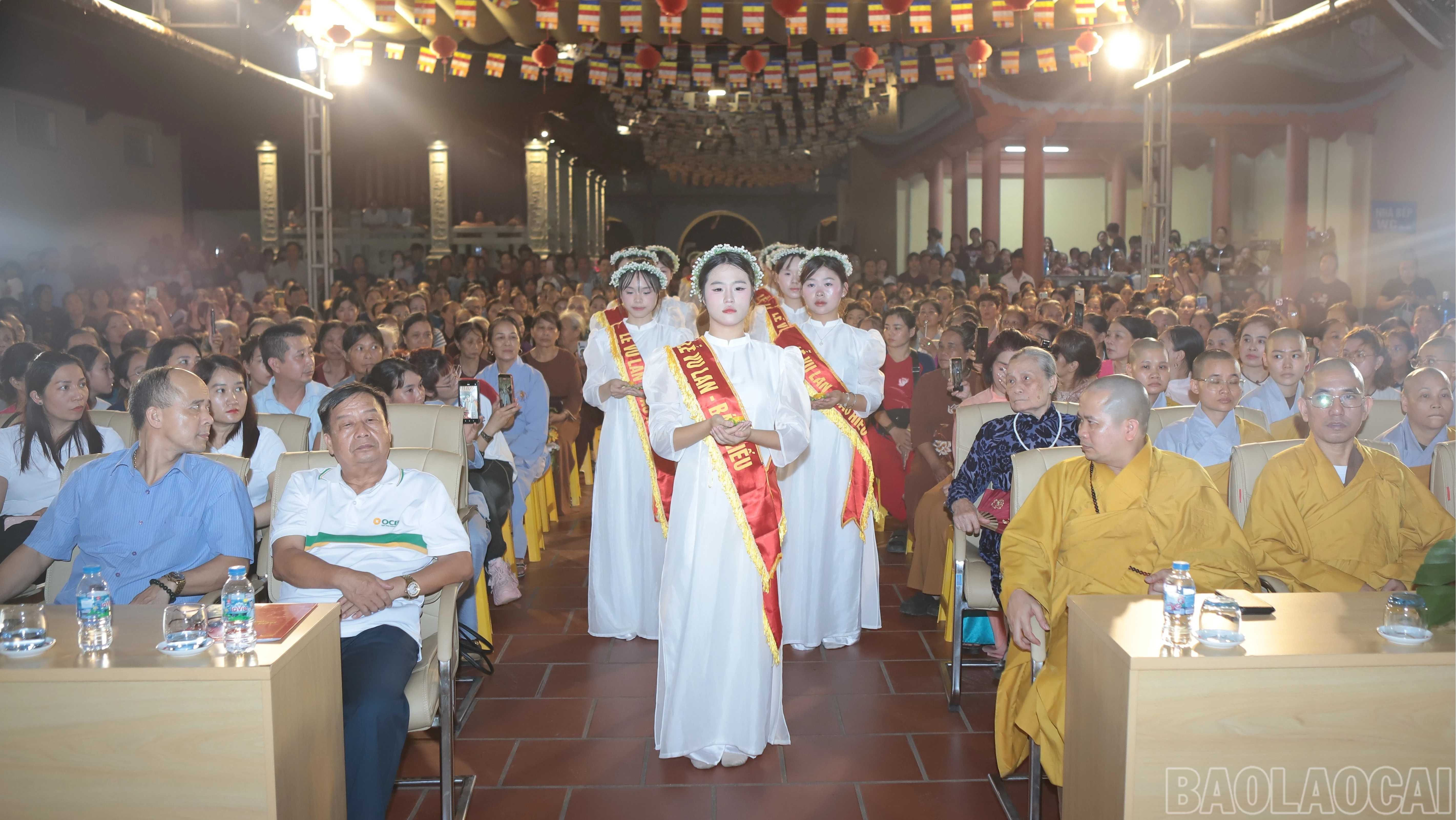 baolaocai-br_img-0023-4578.jpg