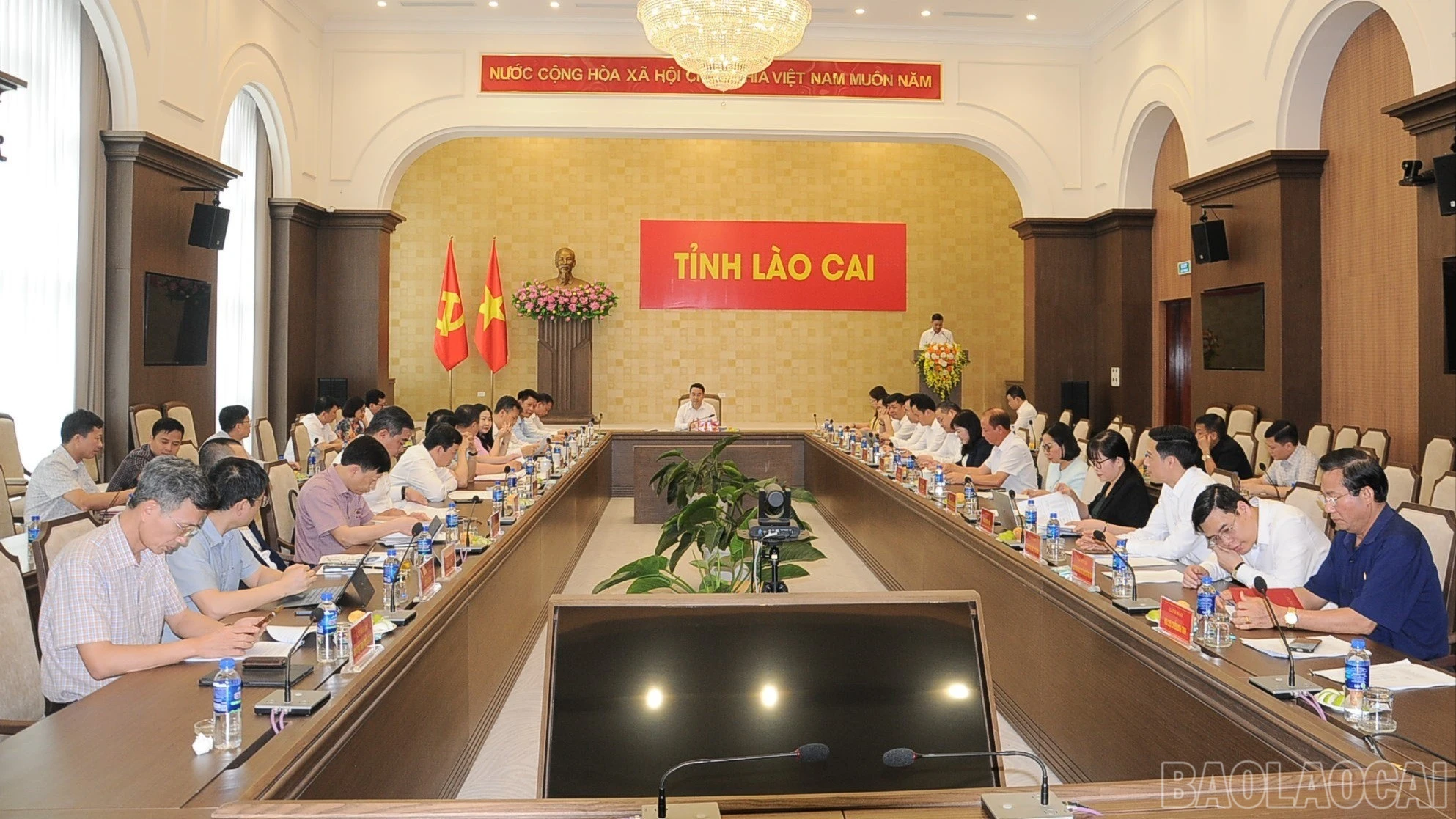 baolaocai-br_duc-4382-5236.jpg