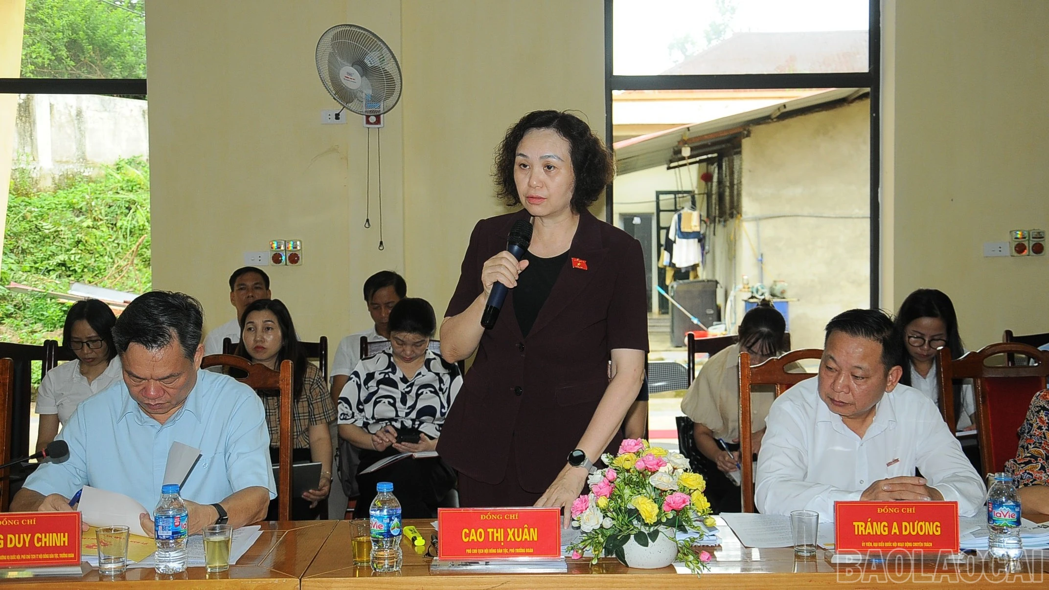 baolaocai-br_duc-5539-618.jpg