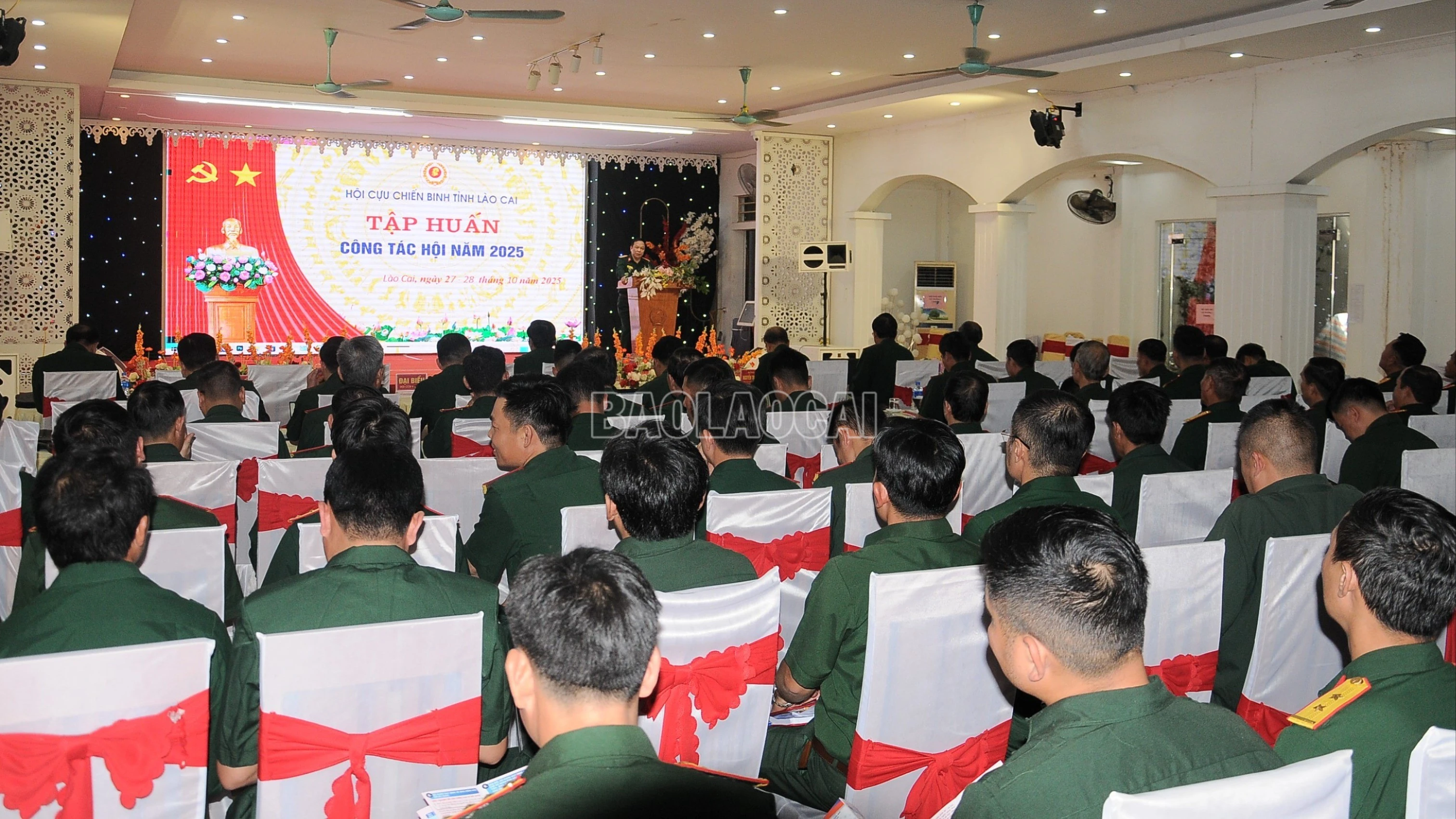 baolaocai-c_duc-3453-6494.jpg