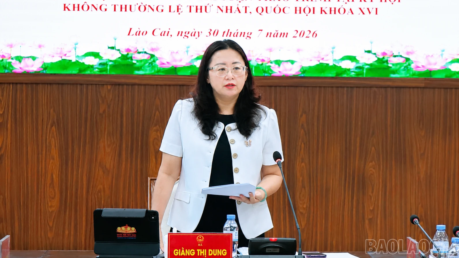 baolaocai-br_cdung-6751.png