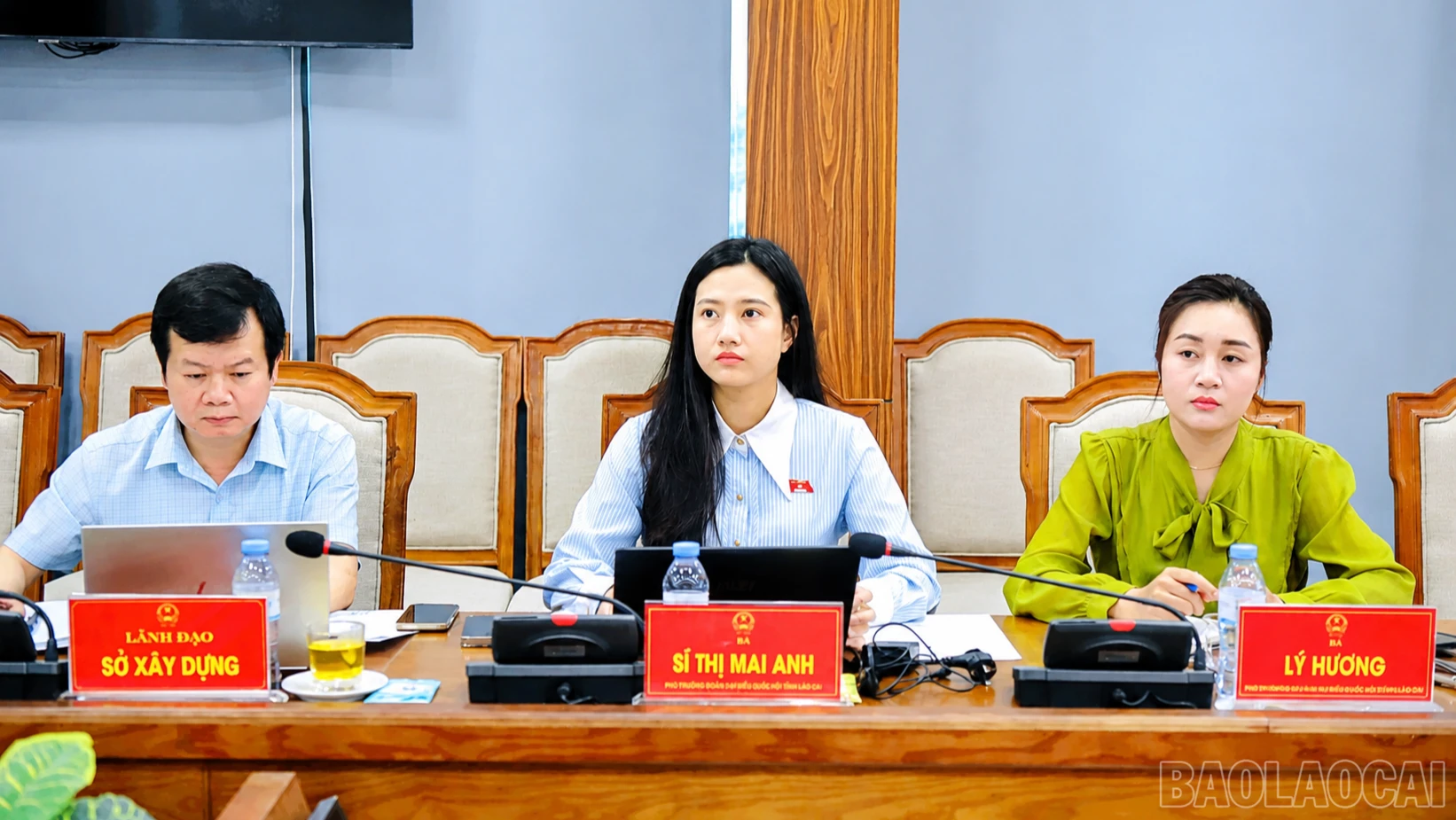 baolaocai-br_hhh-7464.png