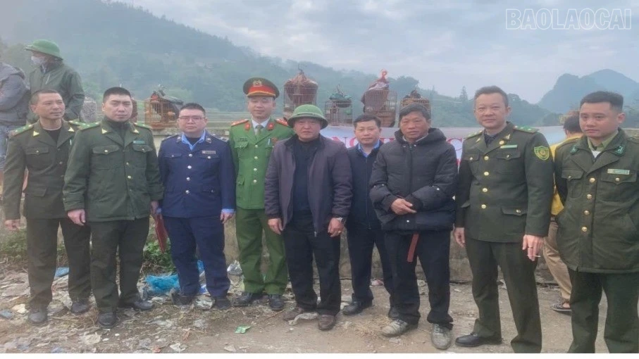 baolaocai-tr_cccc-9671.jpg