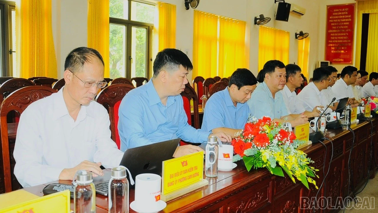 baolaocai-br_ttt-7509.jpg