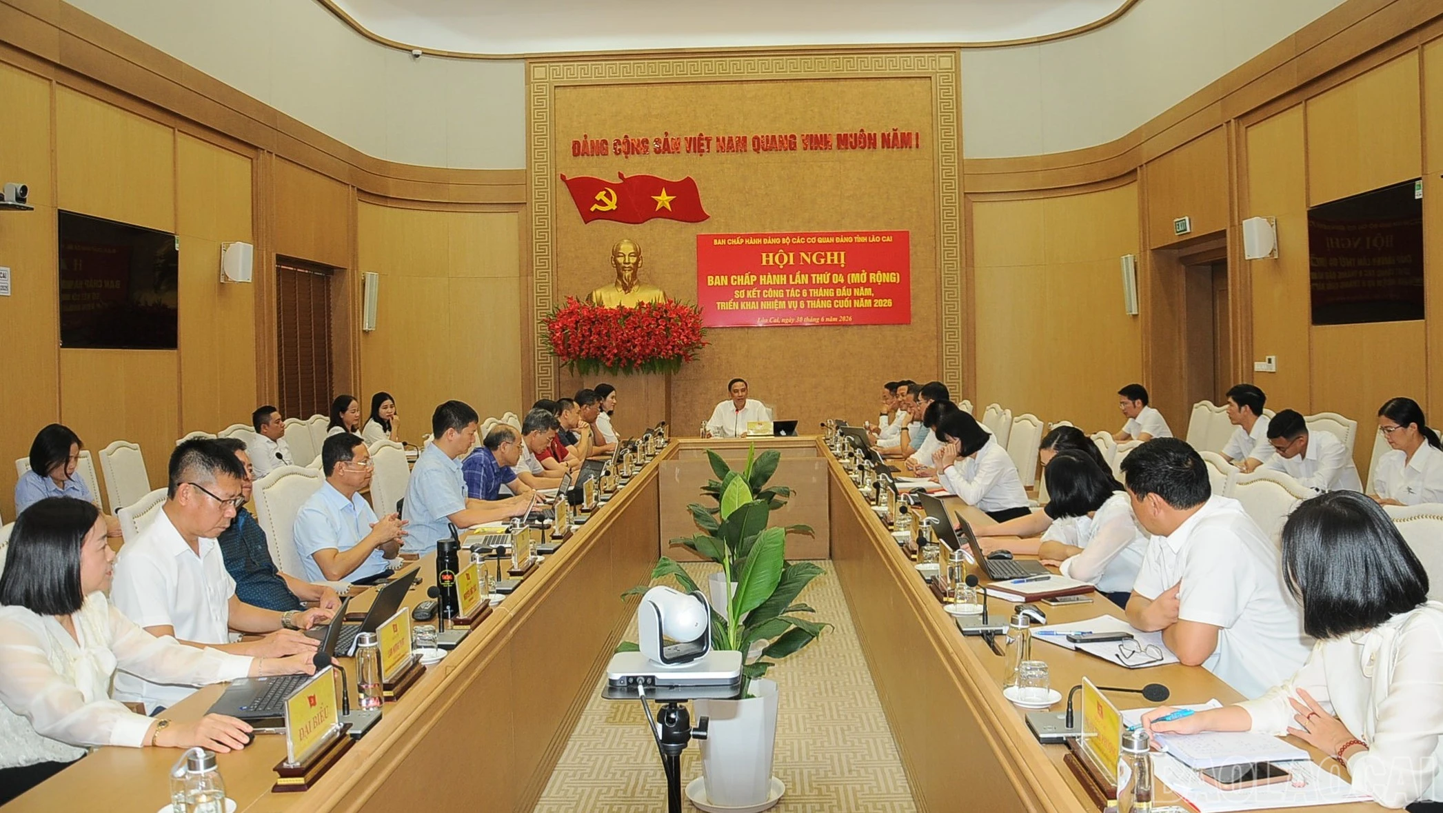 baolaocai-br_duc-5383-3561.jpg