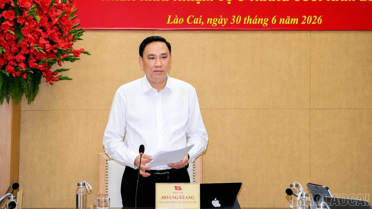 baolaocai-br_chatgpt-image-16-43-23-30-thg-6-2026-1416.png